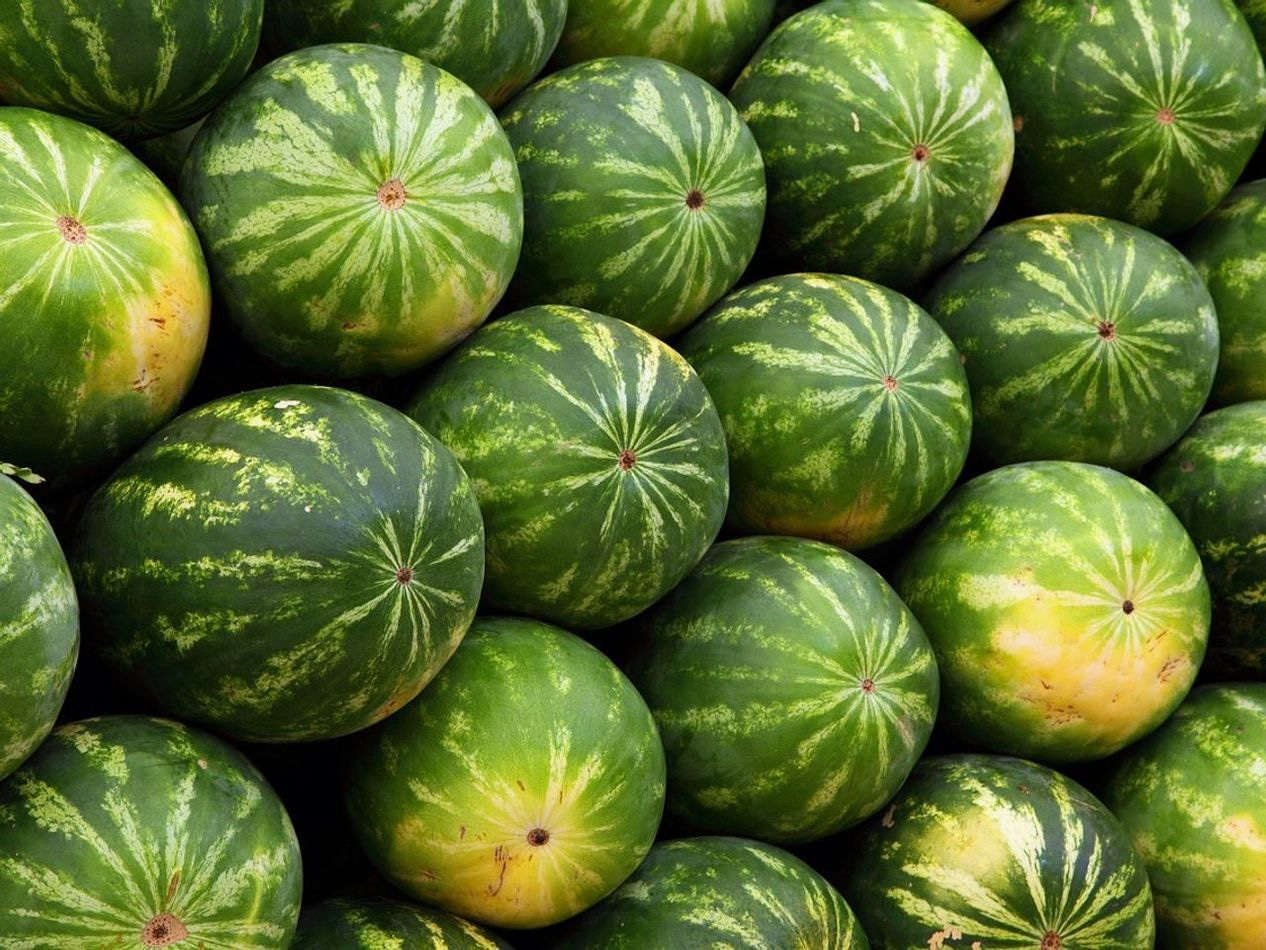 Koliko je stara ta salata?